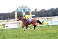 Dettori porta al successo Il Grande Gatsby nel Premio Pisa